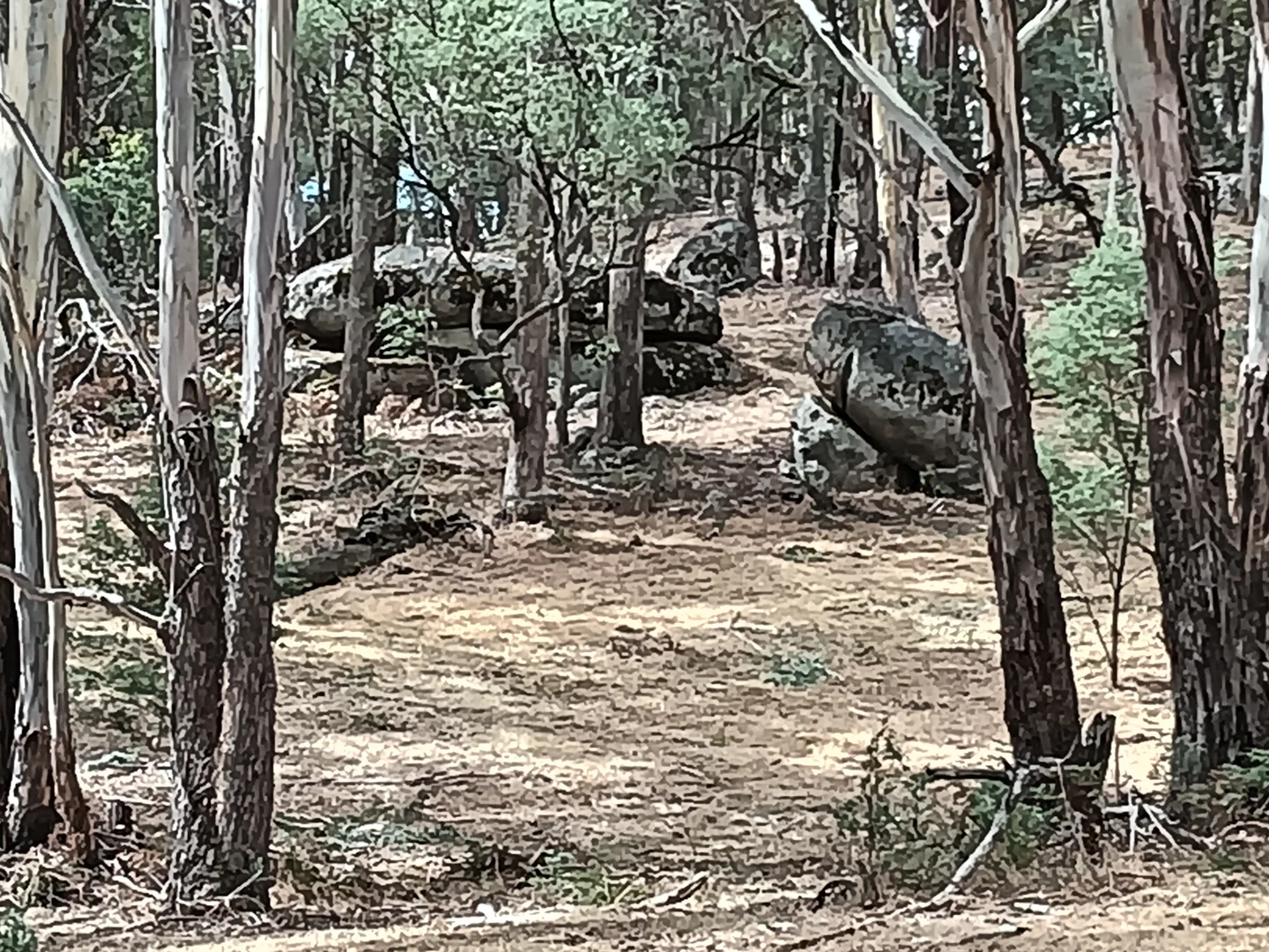 Additional image 29 of Strathbogie VIC 3666