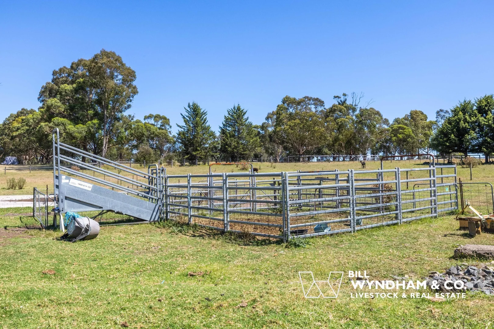 Additional image 21 of 10 Hazeldene Crescent, Nicholson VIC 3882