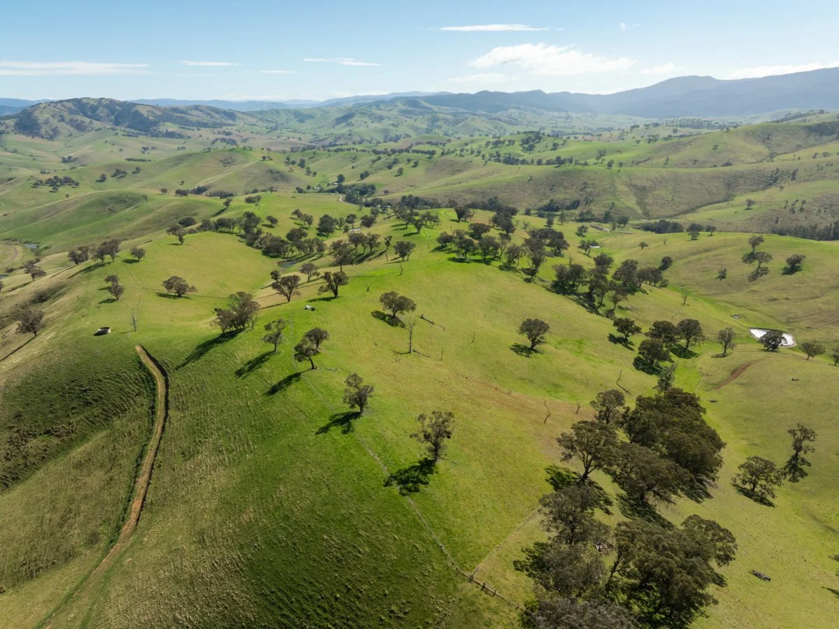 Additional image 44 of 198 Watts Creek Road, Ensay VIC 3895