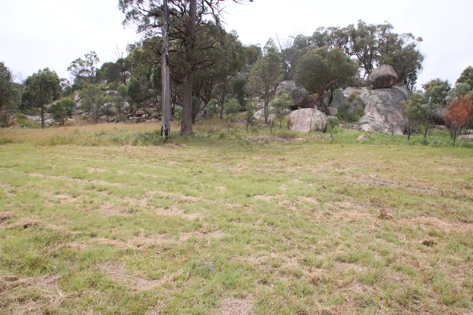 Additional image 9 of Lot 21 Kildare Road, Tenterfield NSW 2372