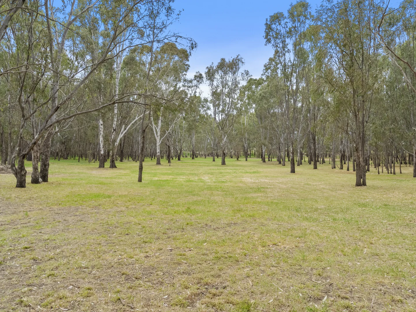 Additional image 33 of 6 Mill Street, Wahgunyah VIC 3687