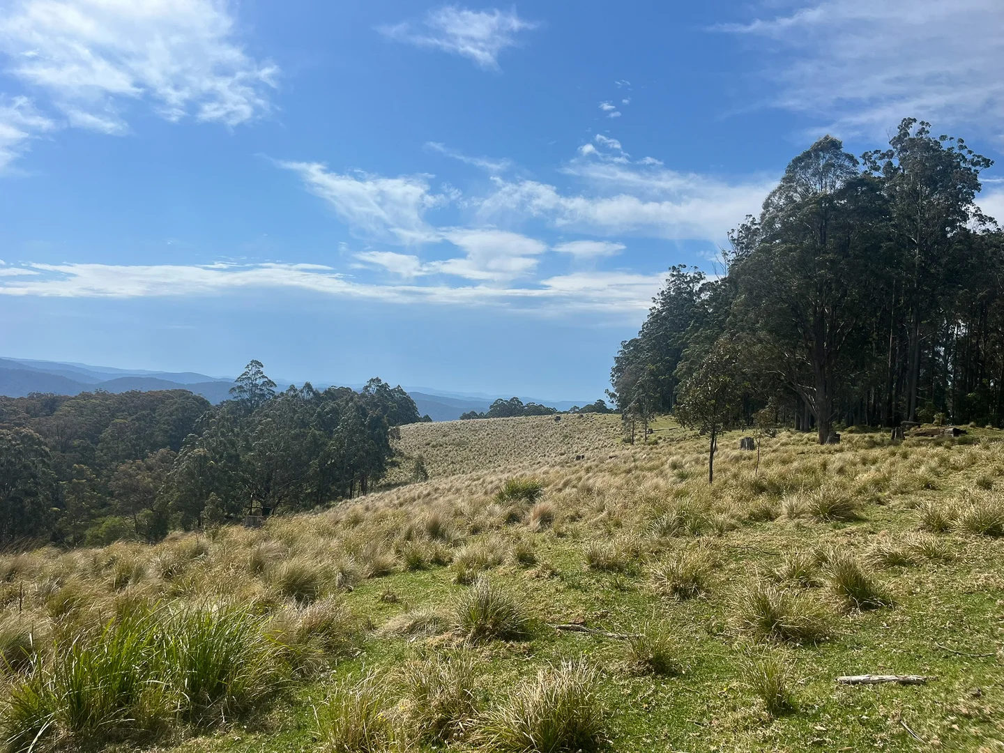 Additional image 2 of 638 Tops Road, Nowendoc NSW 2354