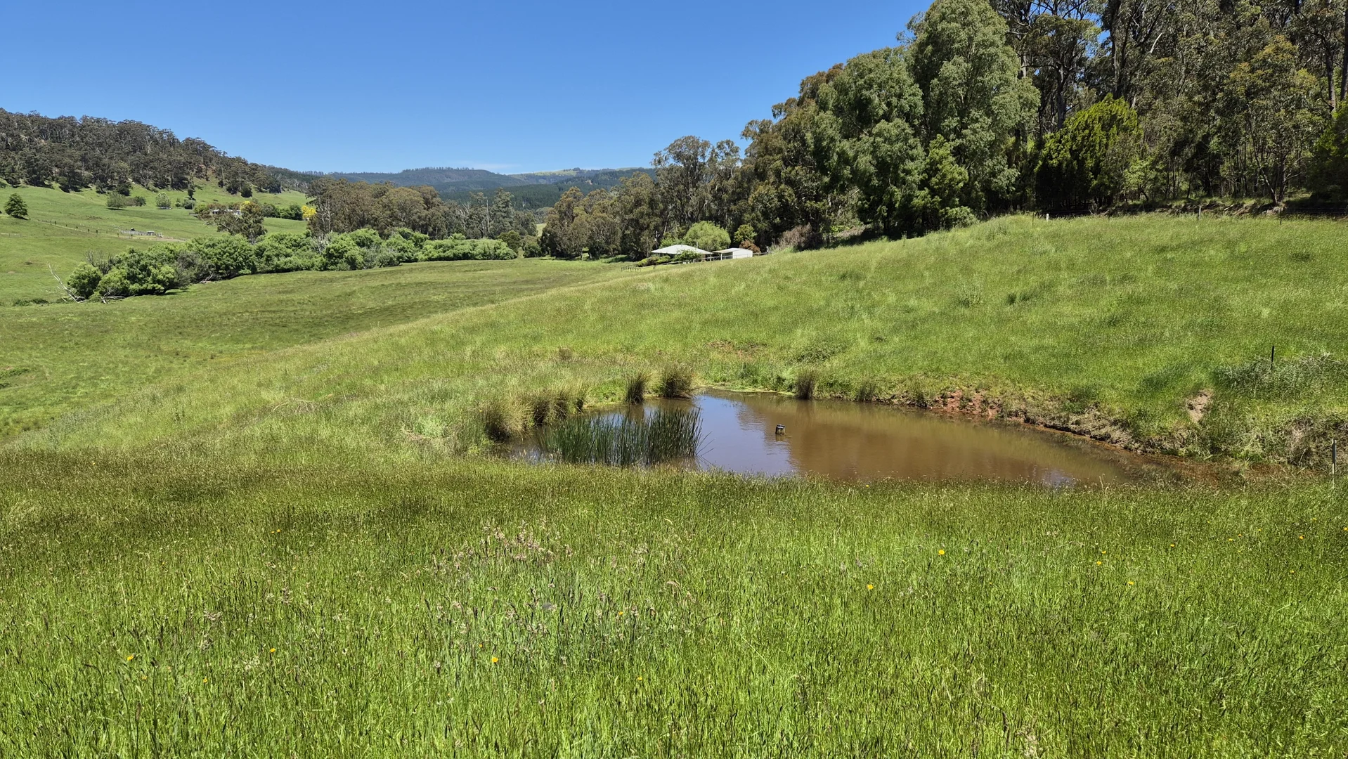 Additional image 20 of 735 Callignee South Road, Callignee VIC 3844