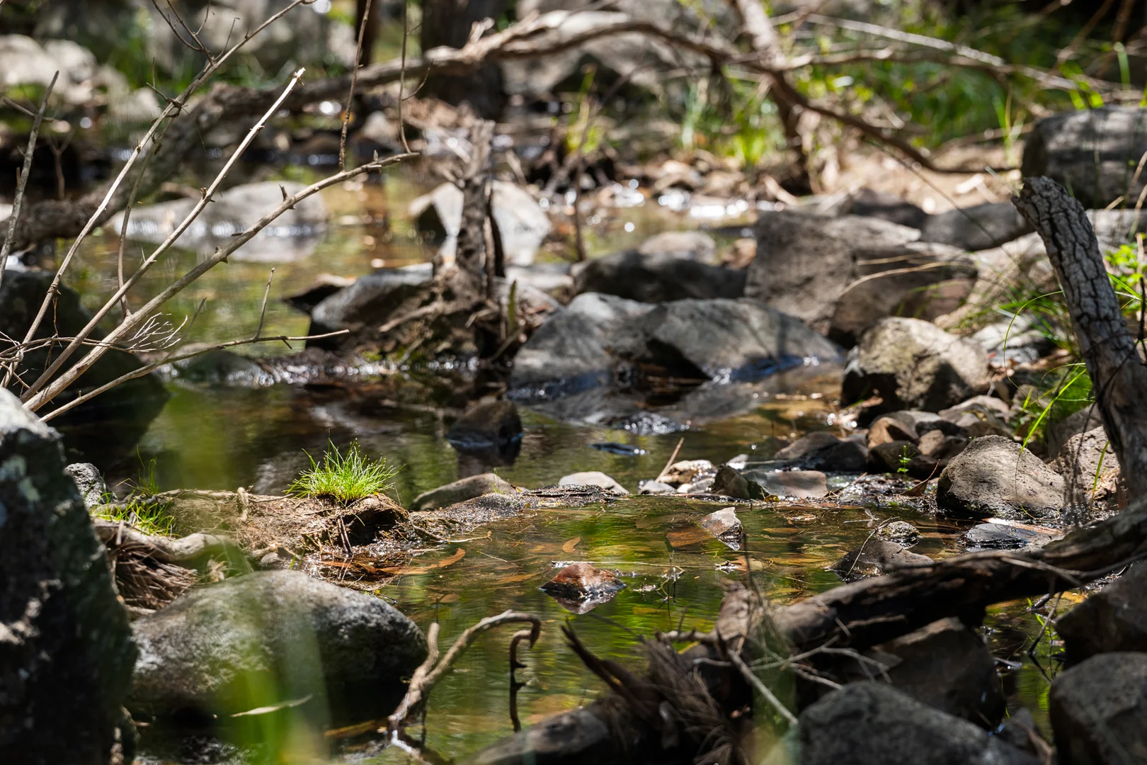 Additional image 31 of 225 Wild Deer Drive, Blackbutt QLD 4314