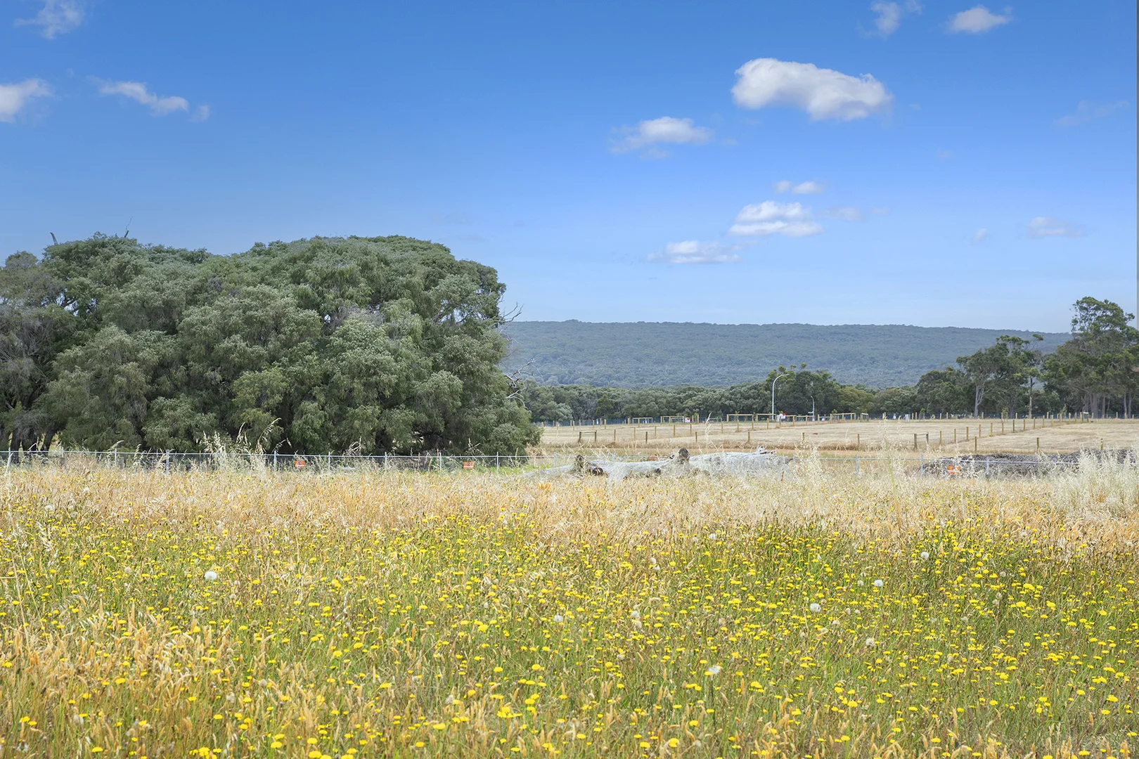 Additional image 4 of 9 Rafferty Entrance, Kudardup WA 6290