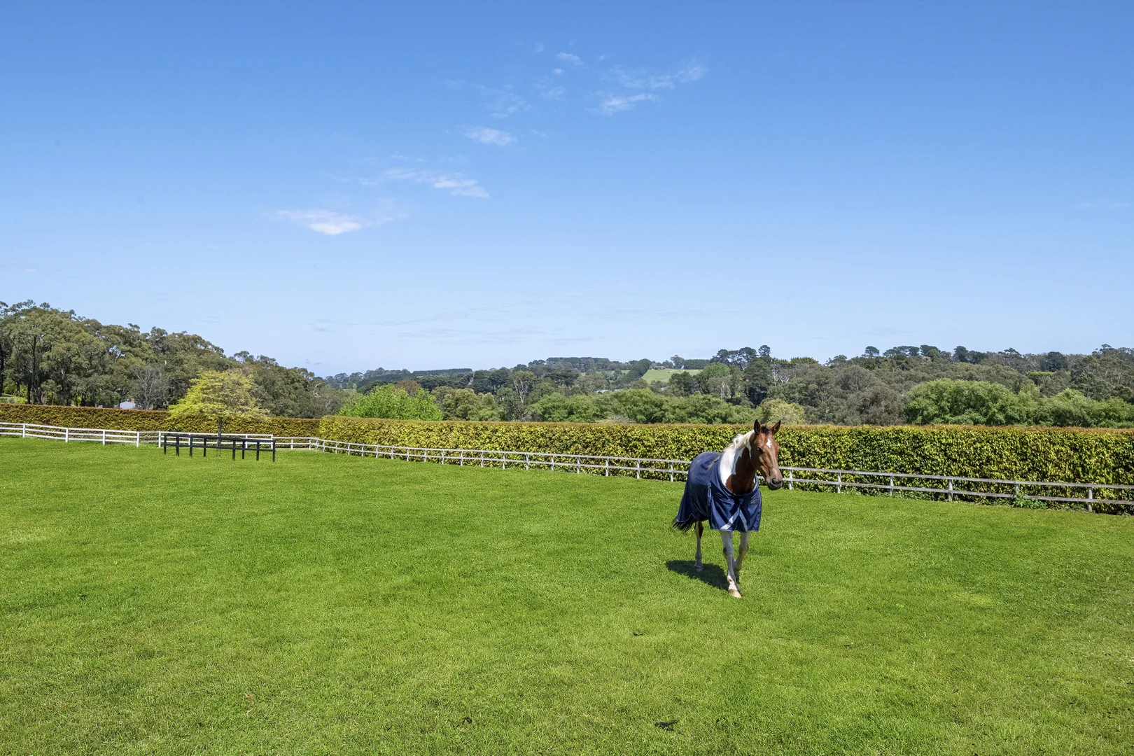 Additional image 18 of 356 Shands Road, Main Ridge VIC 3928