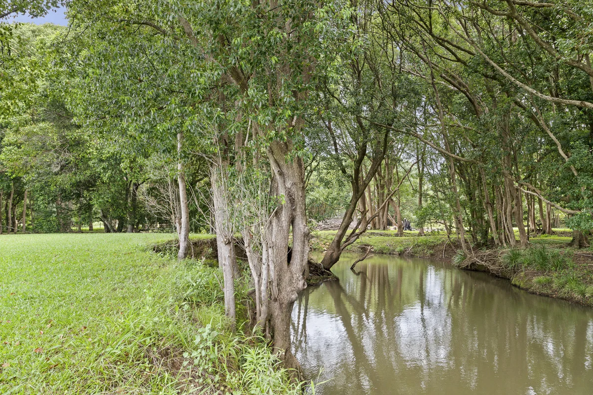 Additional image 25 of 419 Left Bank Road, Mullumbimby NSW 2482
