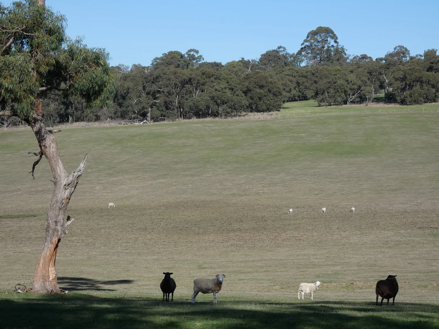 Additional image 19 of 10 Smiths Road, Yellingbo VIC 3139