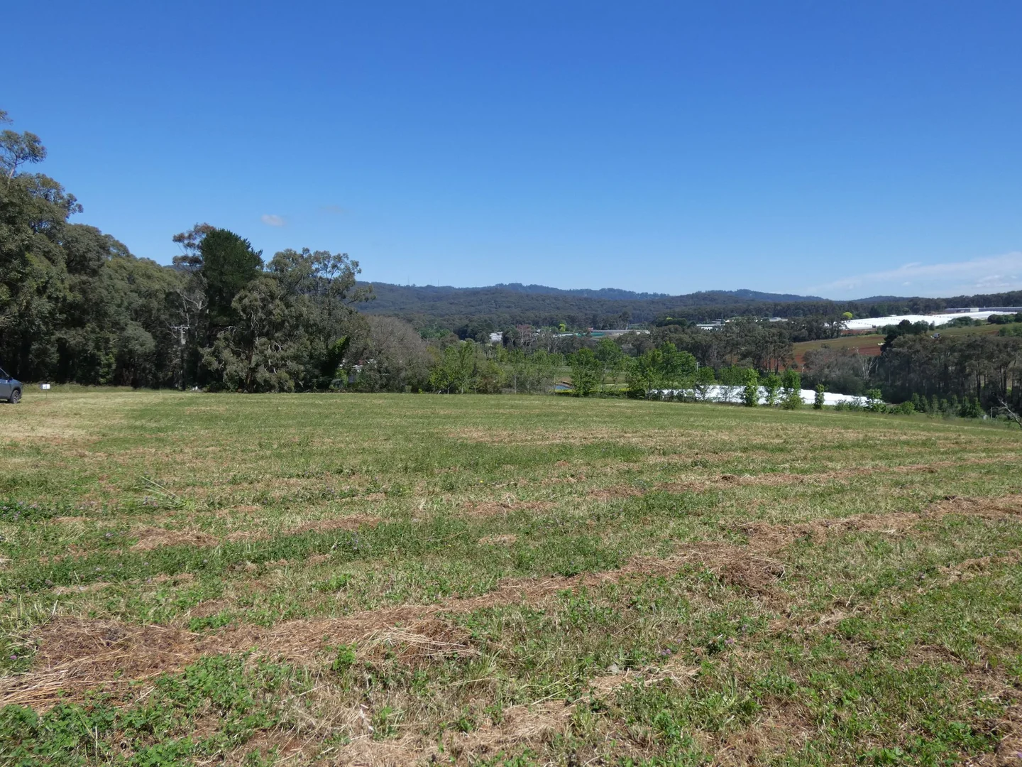 Additional image 5 of Lot 1/95 Macclesfield Road, Monbulk VIC 3793