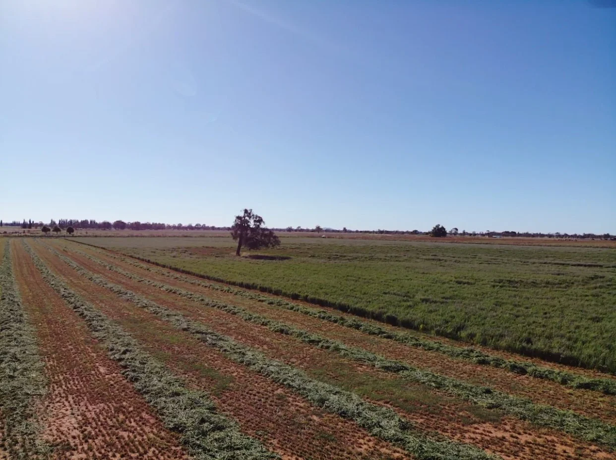 Additional image 44 of 229 Elliots Lane, Forbes NSW 2871