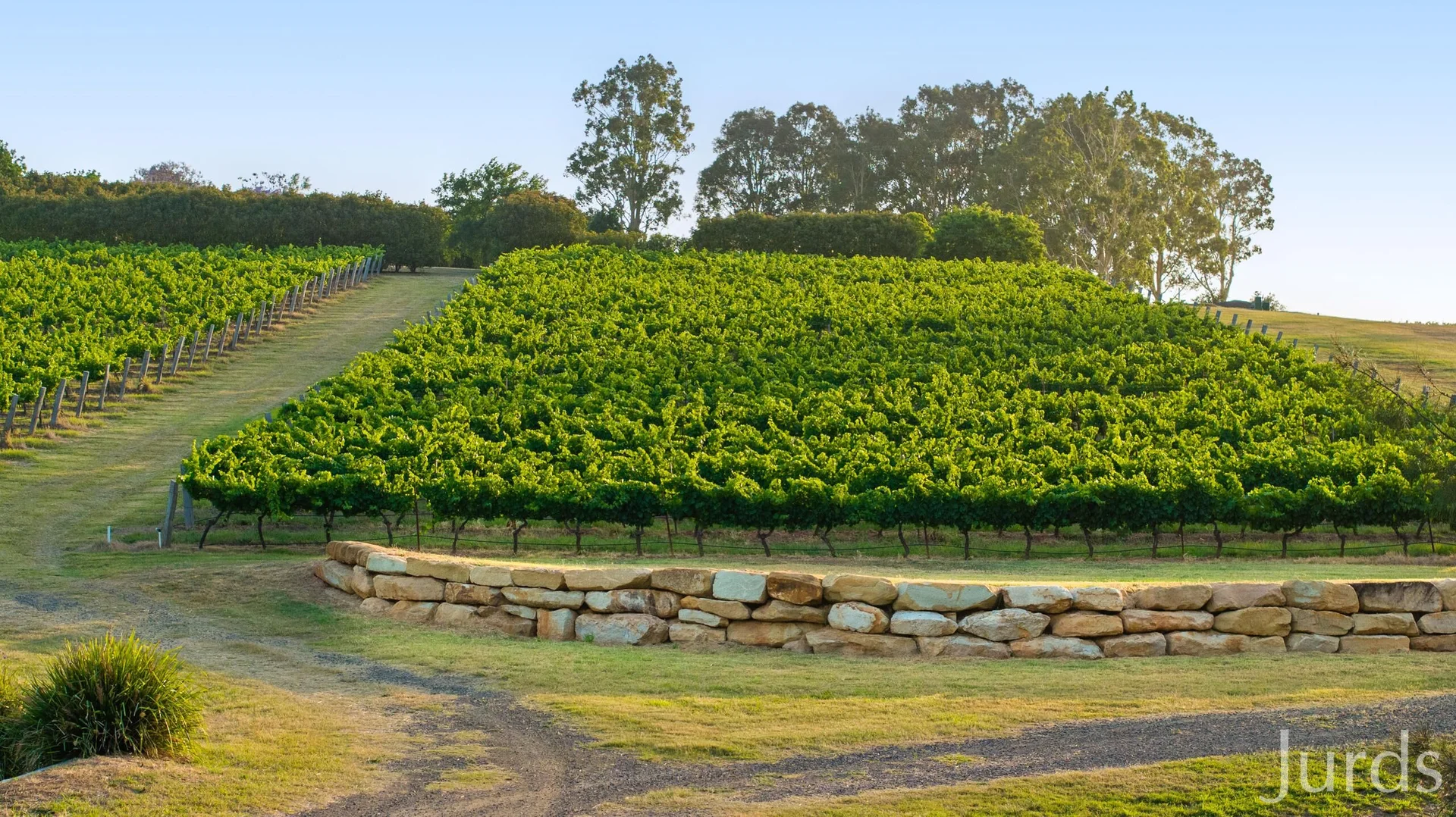 Additional image 38 of 110 Old North Road, Pokolbin NSW 2320