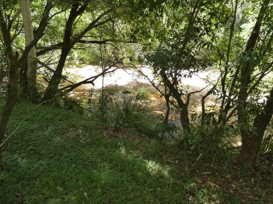 Additional image 21 of 397 Mollenhagens Road, Rosedale QLD 4674