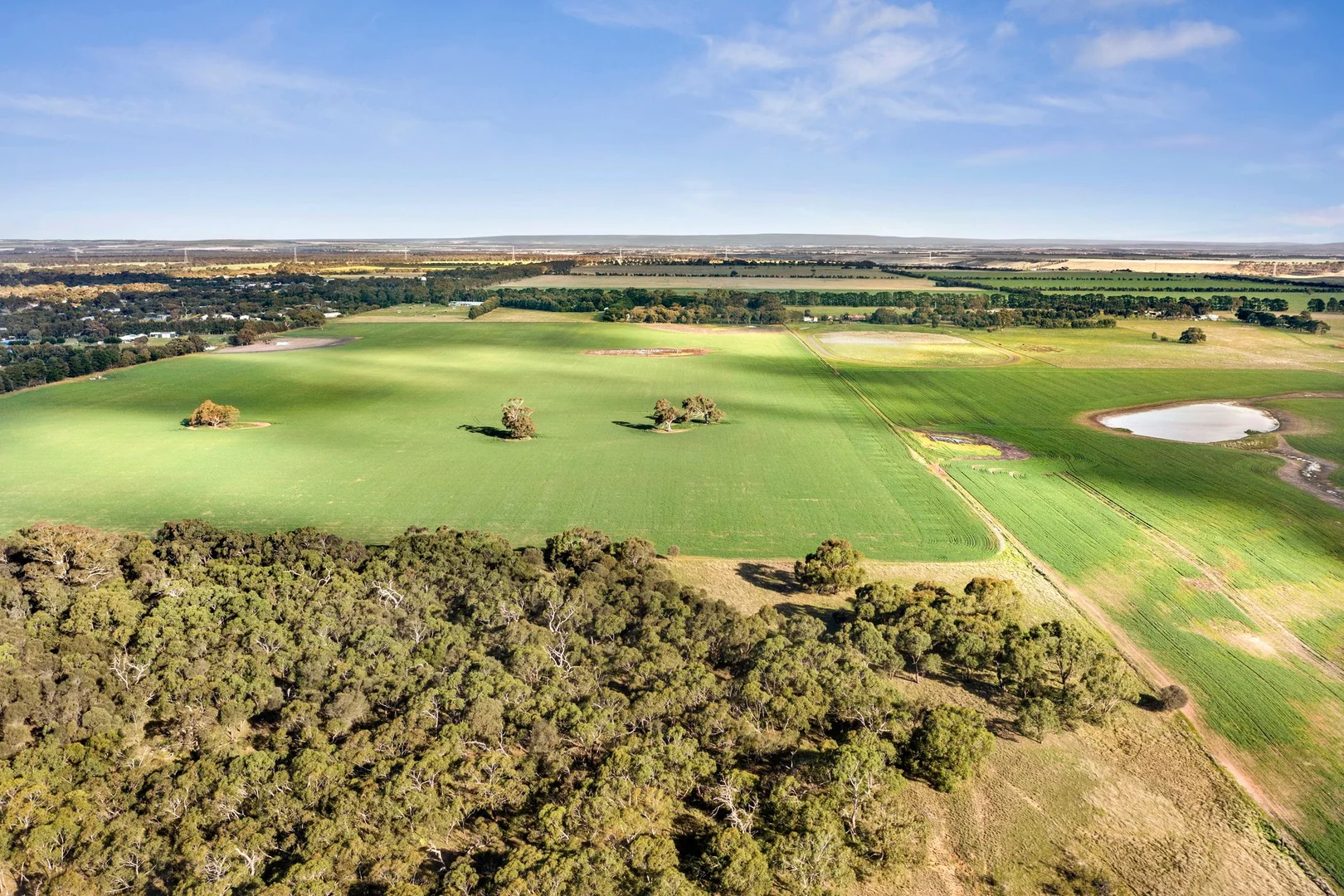 Additional image 8 of 1412 Bannockburn-Shelford Road, Teesdale VIC 3328