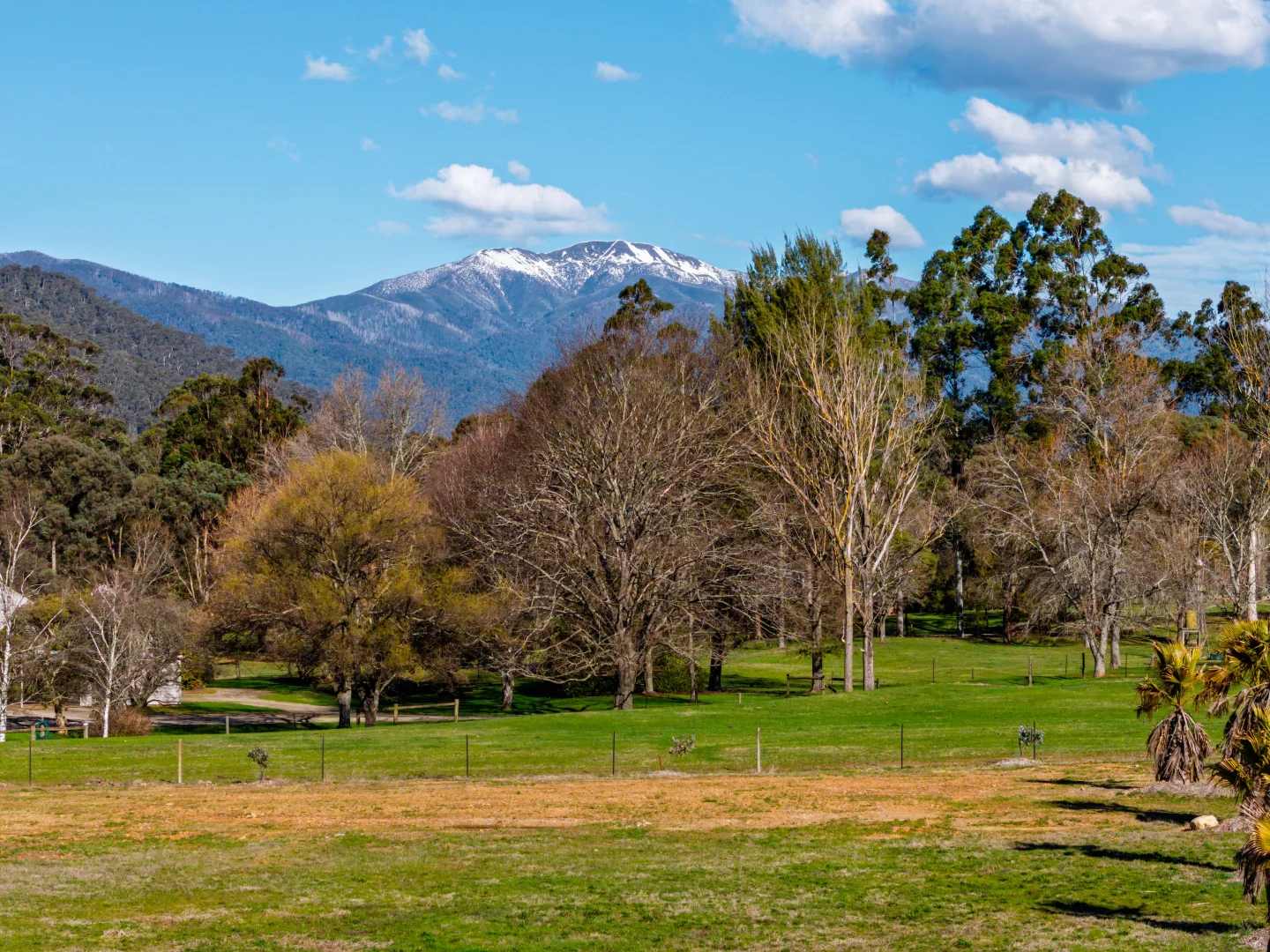 Additional image 14 of Lots 3, 5 & CA38A Great Alpine Road, Freeburgh VIC 3741