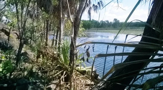 Additional image 4 of Darwin River NT 0841