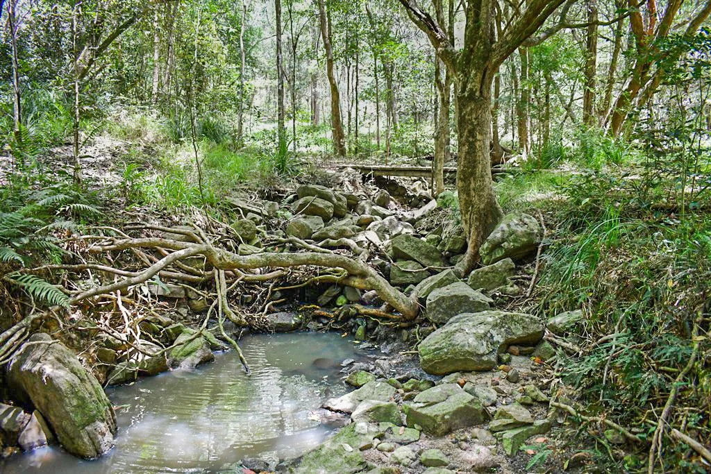 Additional image 26 of 293 Stewart Road, Coondoo QLD 4570