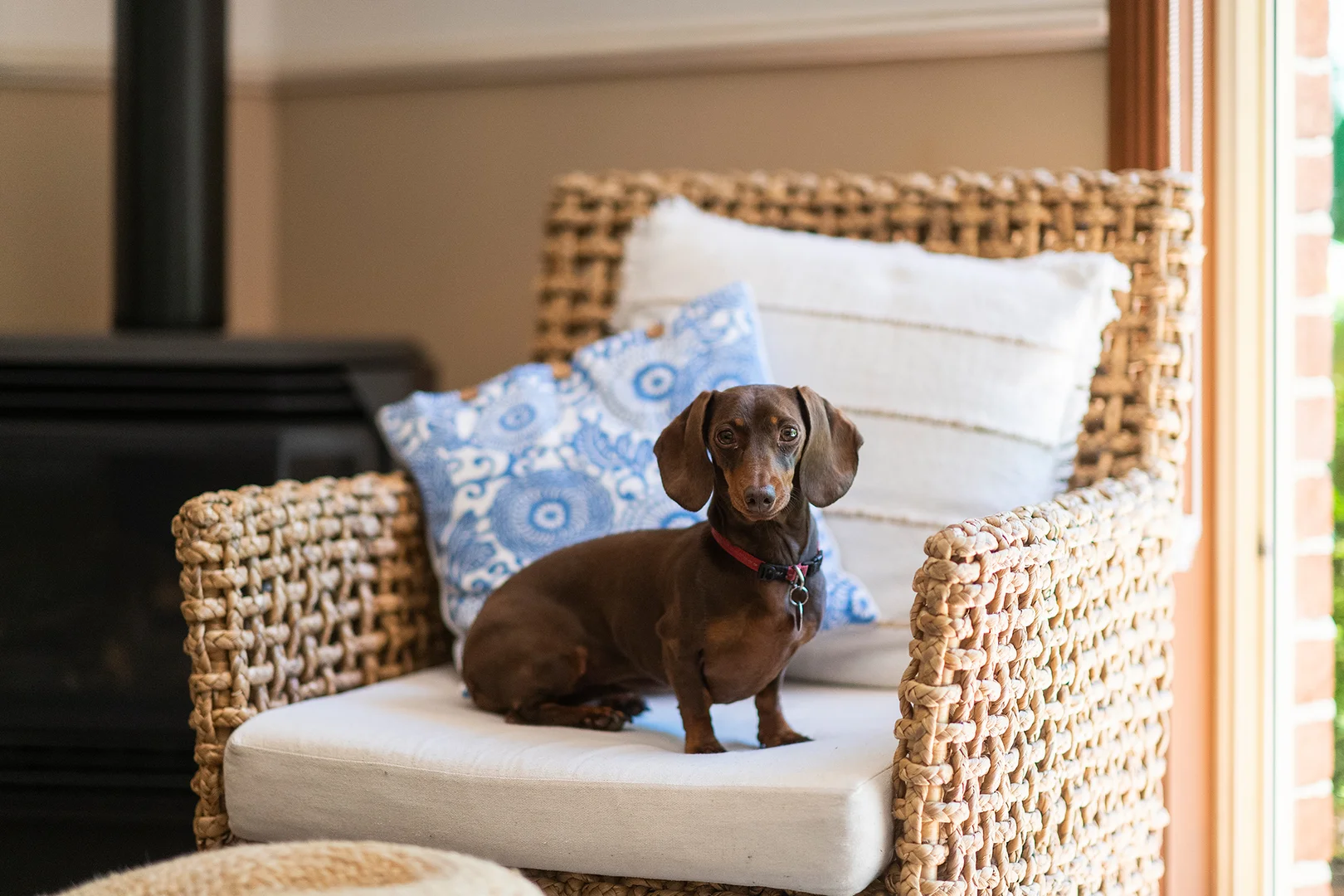 Additional image 17 of 30 Robinia Drive, Bowral NSW 2576