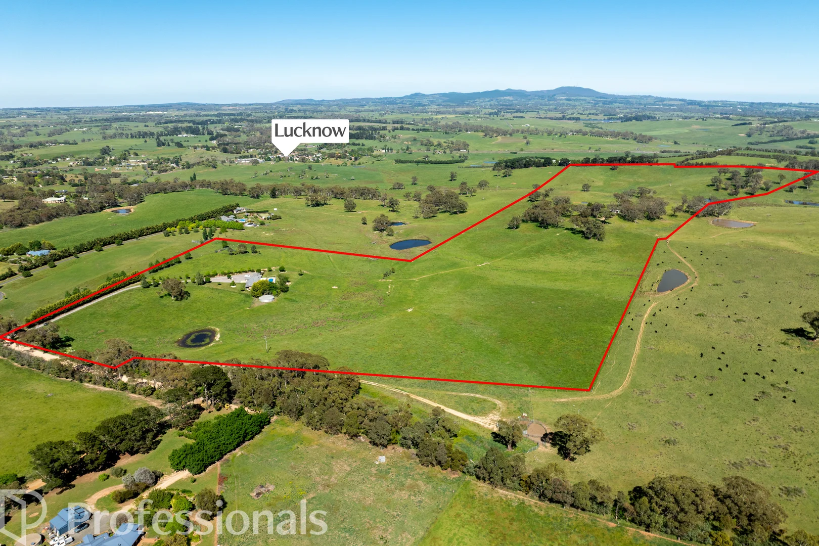 Additional image 39 of 225 Emu Swamp Road, Orange NSW 2800