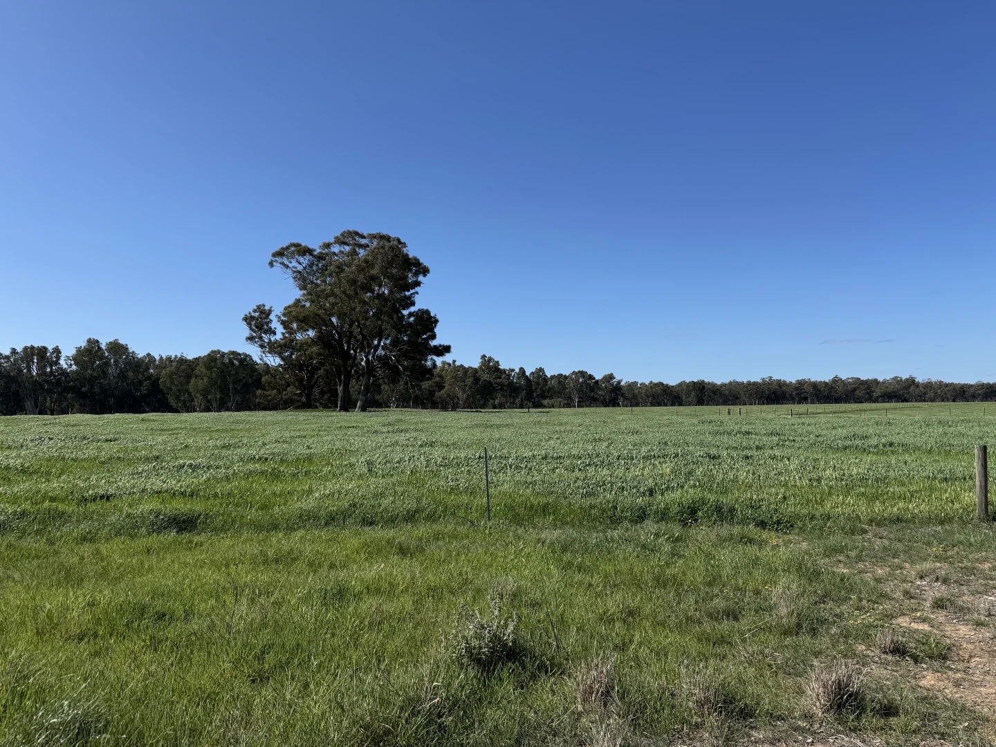 Additional image 37 of . Bangerang Road, Kanyapella VIC 3564