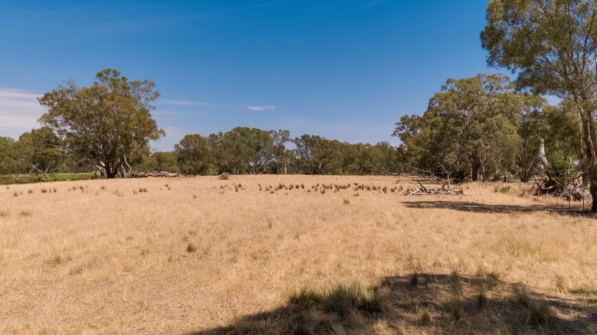 Additional image 9 of 2237 Spring Drive, Collendina NSW 2646