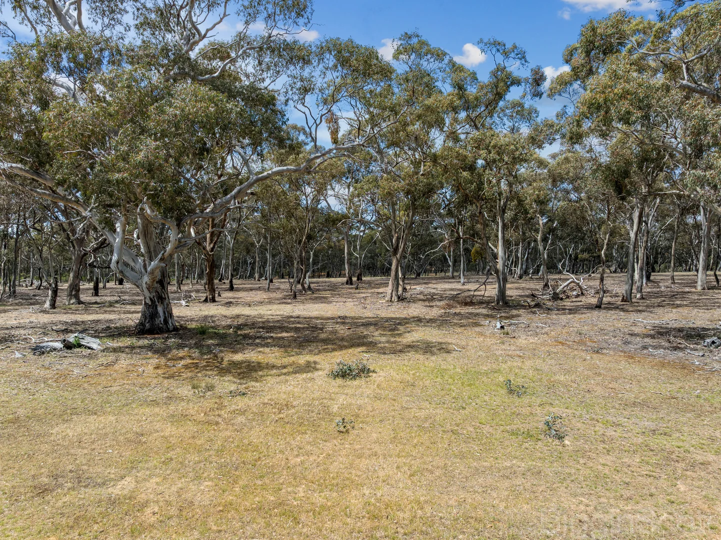 Additional image 14 of 260 Deep Creek Road, Campbelltown VIC 3364