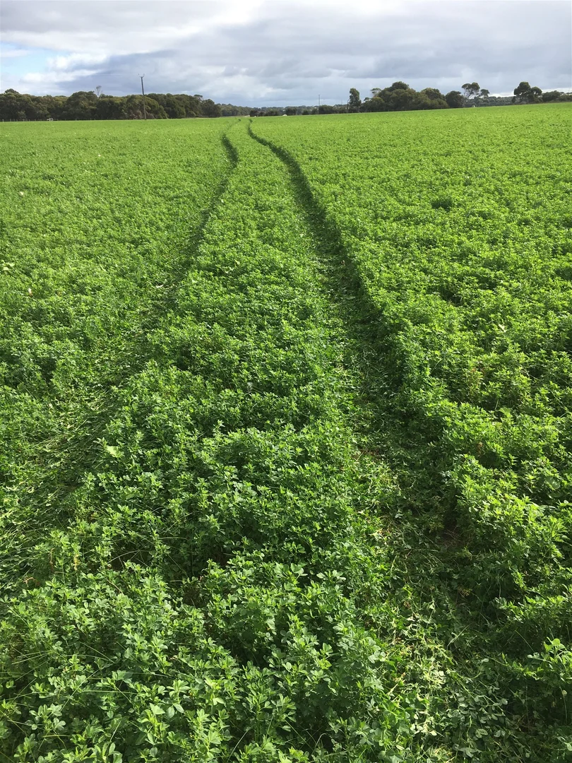 Additional image 19 of 142 Florance Road, Haines SA 5223