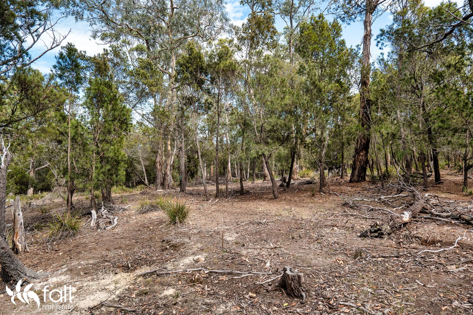 Additional image 13 of 954 Killora Road, North Bruny TAS 7150
