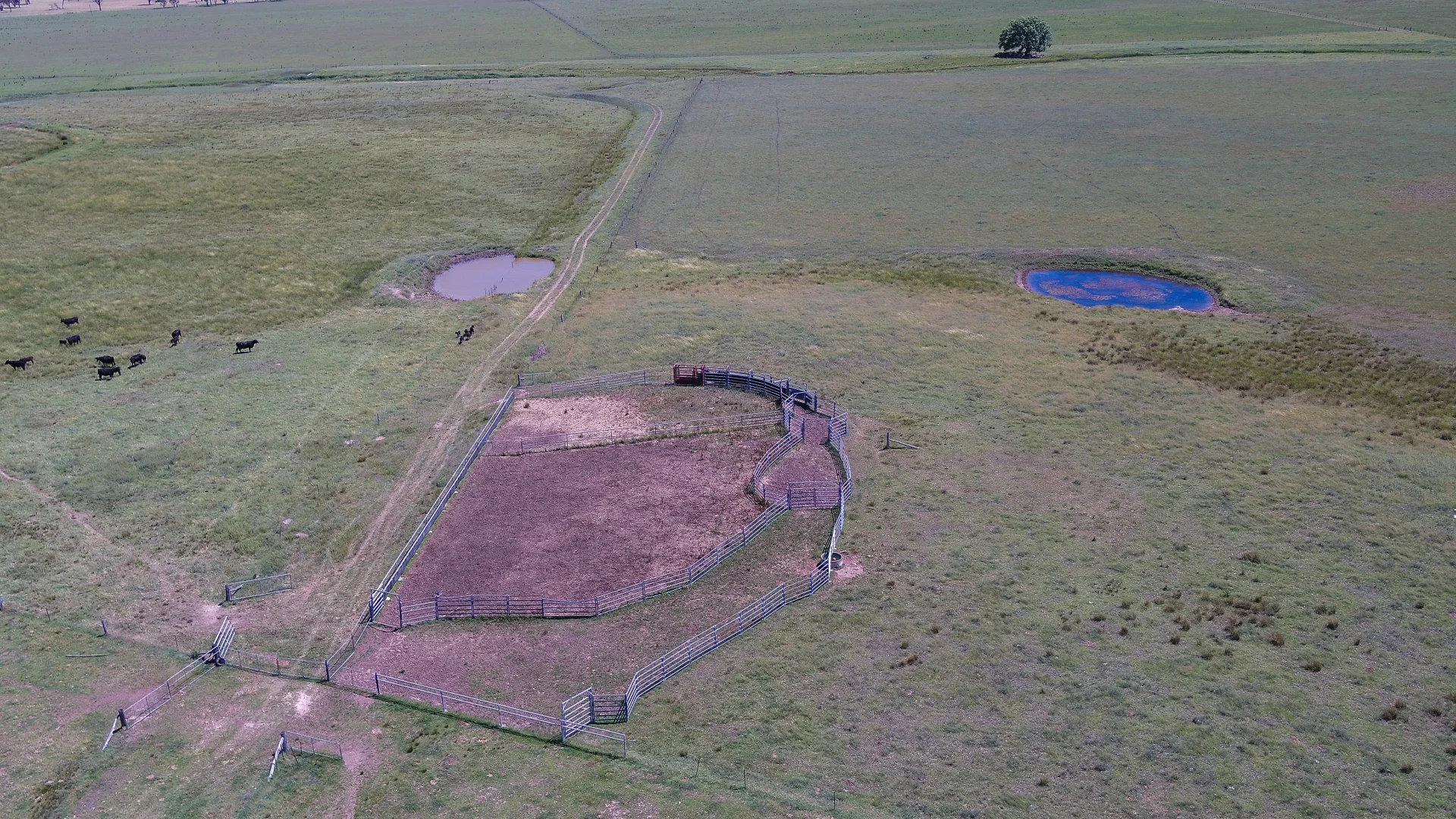 Additional image 28 of 134 Ruwenzorie Rd Wellingrove, Glen Innes NSW 2370