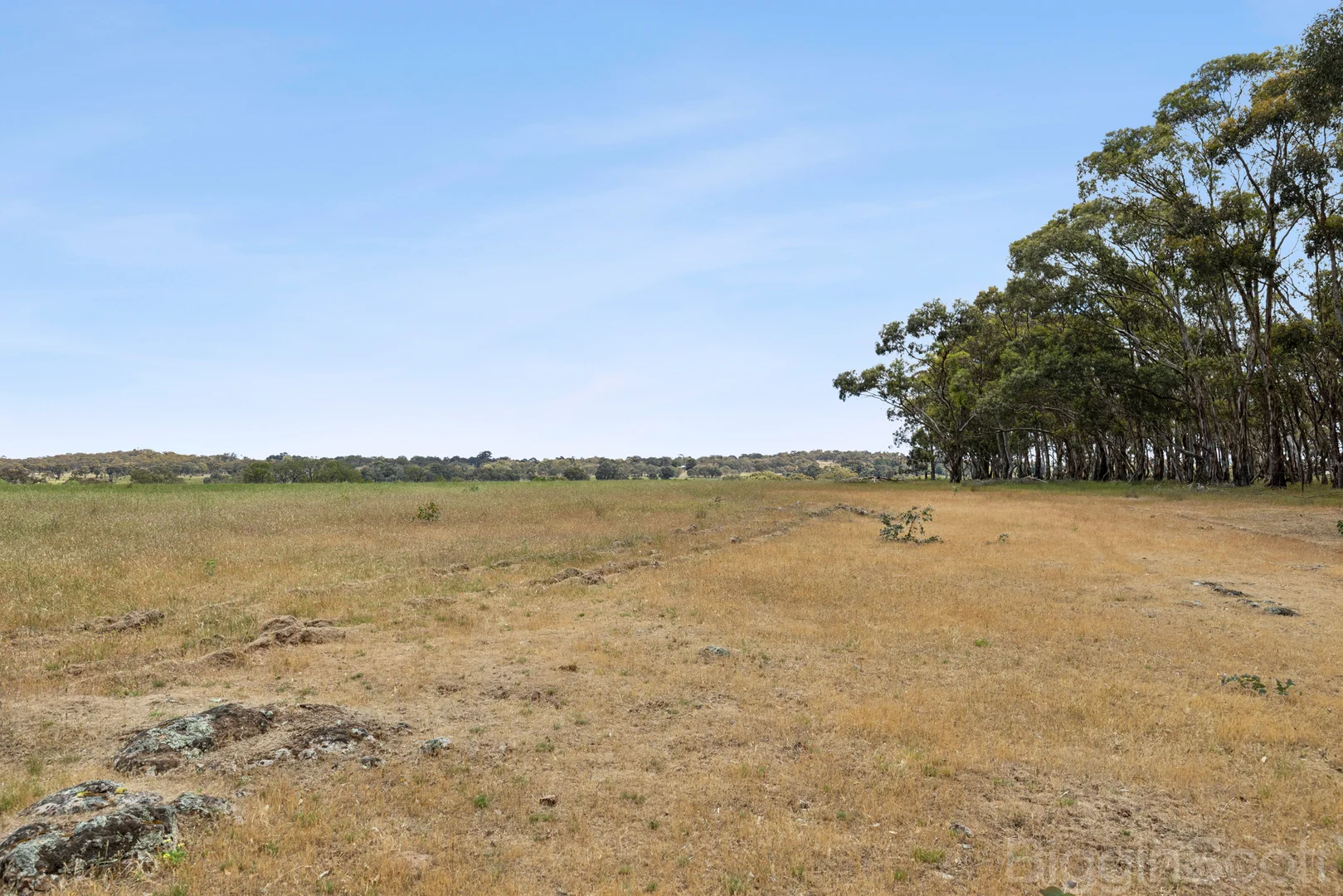 Additional image 4 of 260 Deep Creek Road, Campbelltown VIC 3364