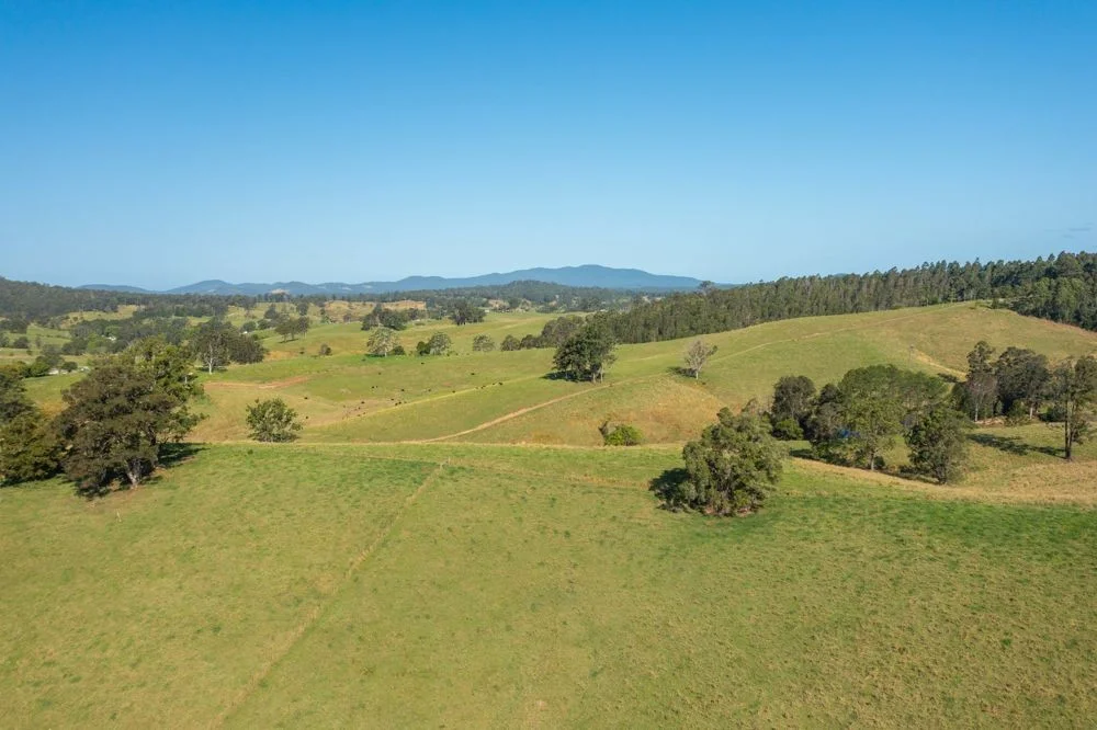 Additional image 27 of 353 Rhones Creek Road, Talarm NSW 2447