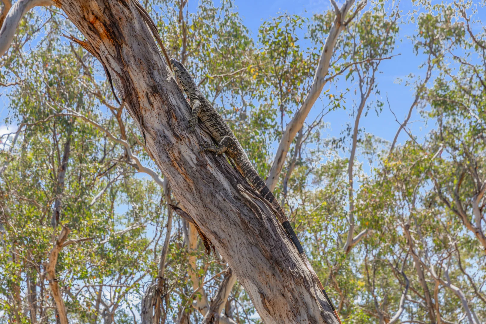 Additional image 30 of 1884 Lower Lewis Ponds Road, Ophir NSW 2800