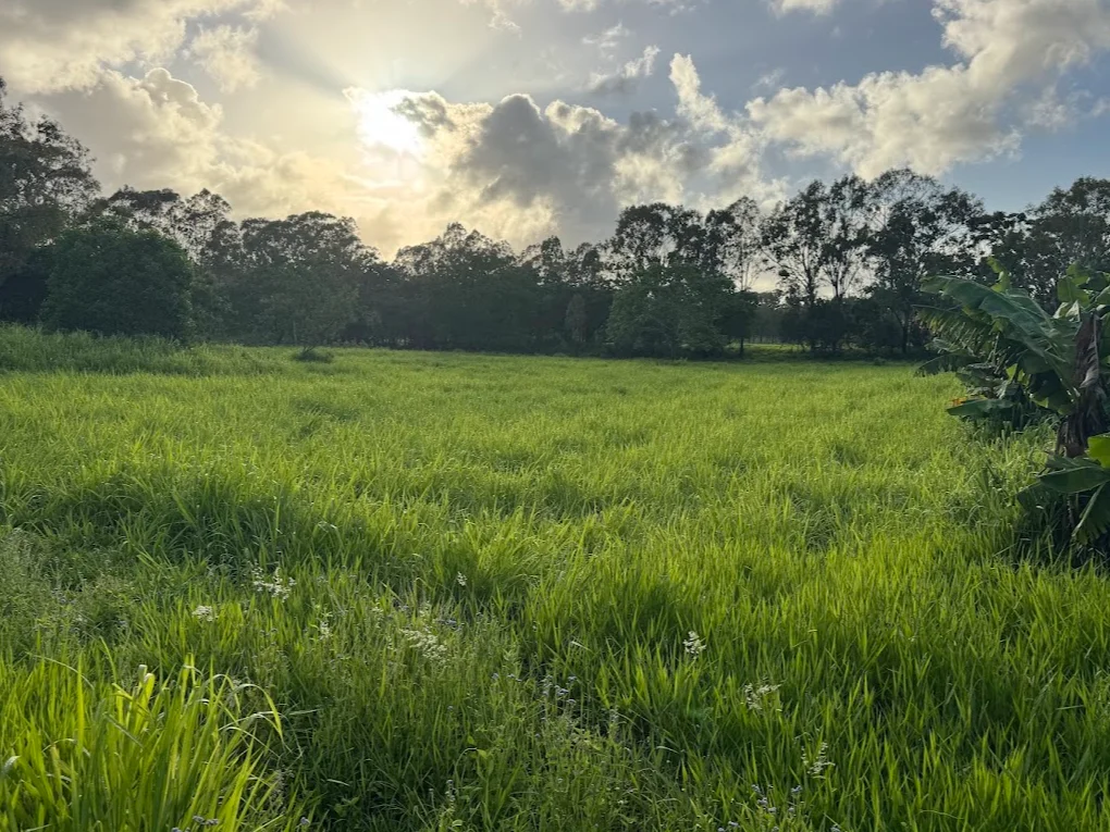 Additional image 11 of 25 Flaggy Rock Road, Clairview QLD 4741