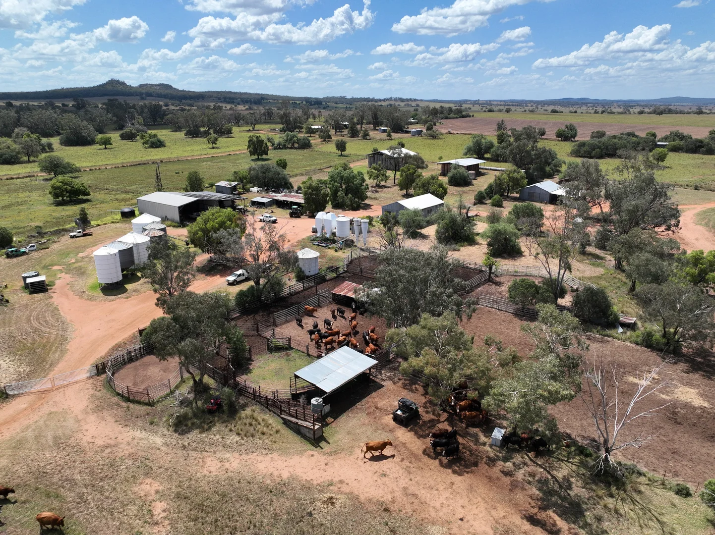 Additional image 11 of 1676 Willala Road, Boggabri NSW 2382
