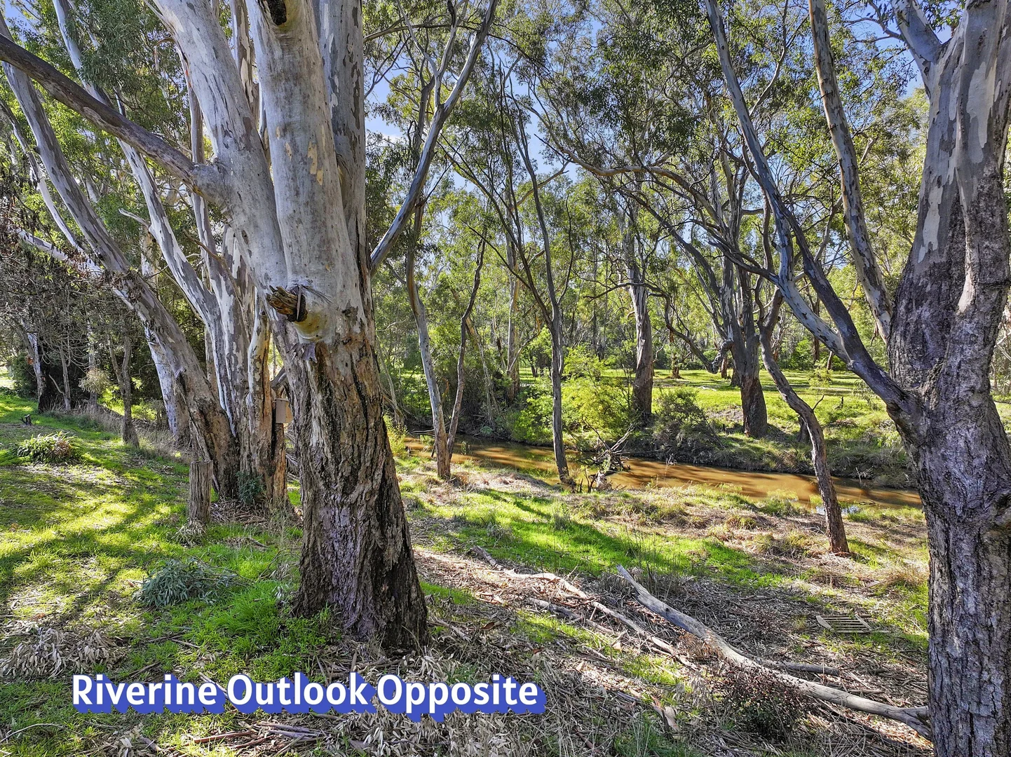 Additional image 20 of 10 Neil Avenue, Benalla VIC 3672