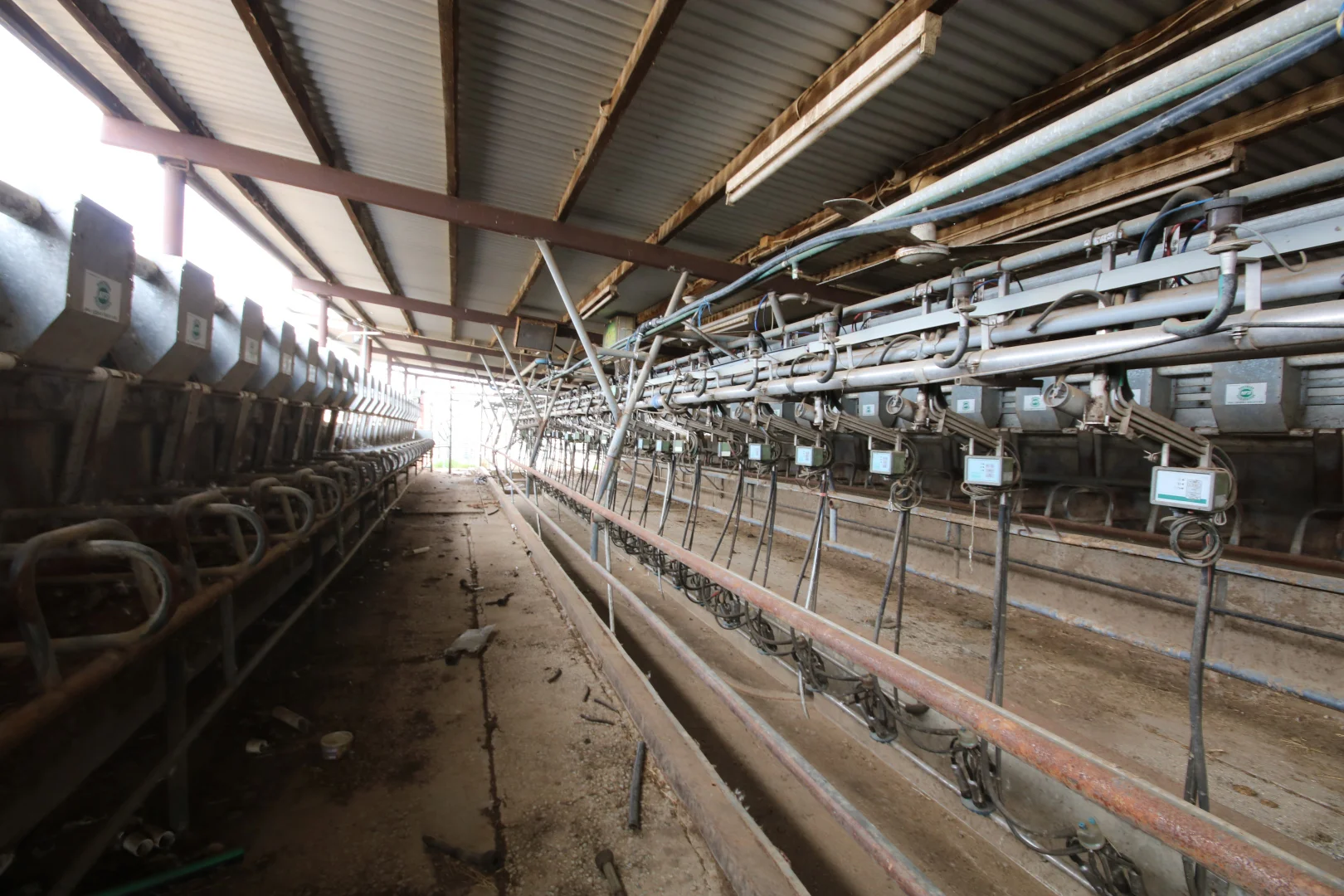 Additional image 13 of 142 Walkers Lane, Barham NSW 2732