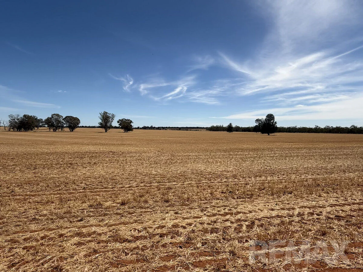 Additional image 5 of 9547 Mahonga Road, Urana NSW 2645