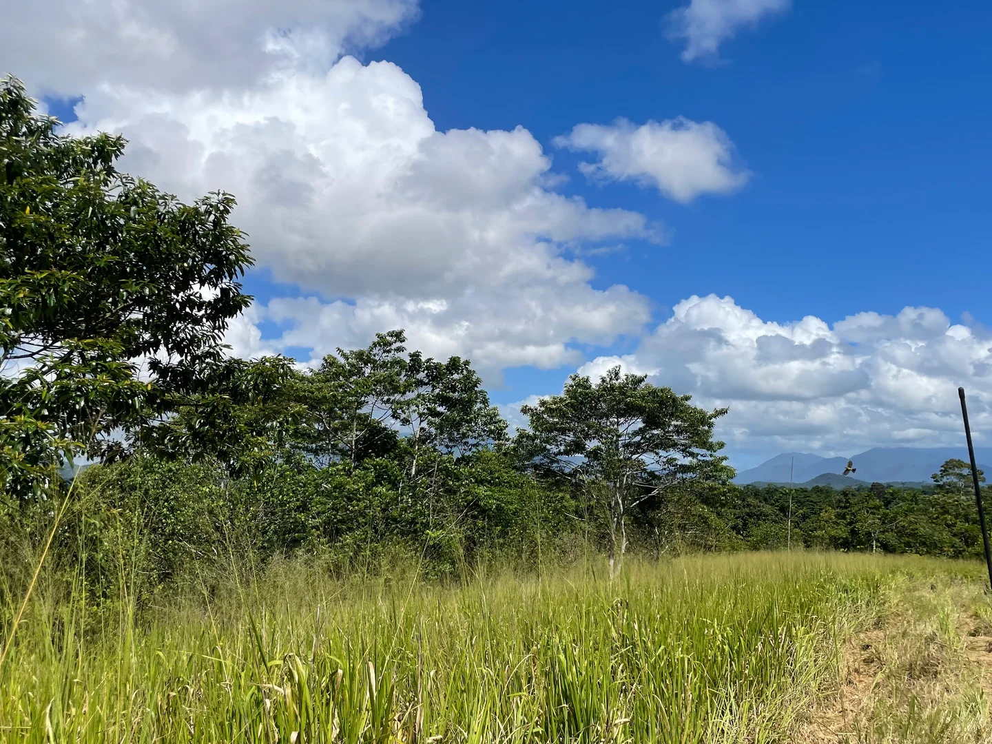 Additional image 3 of 2/129 Old Ferry Road, Goondi QLD 4860