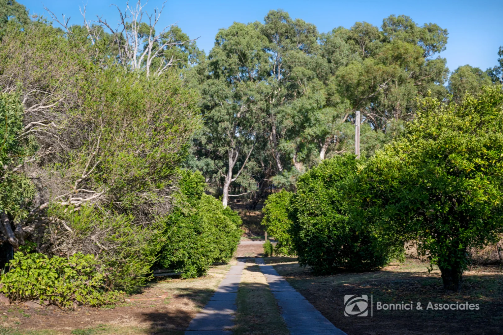 Additional image 16 of 103 Traton Street, Wahgunyah VIC 3687