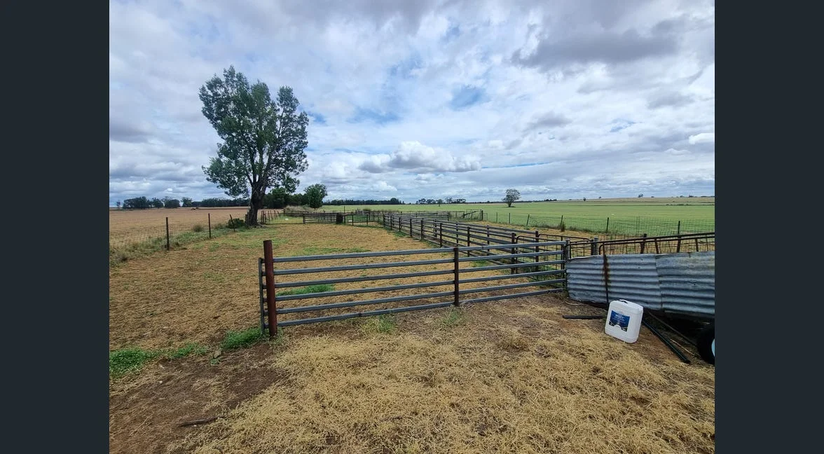 Additional image 6 of Tooraweenah NSW 2817