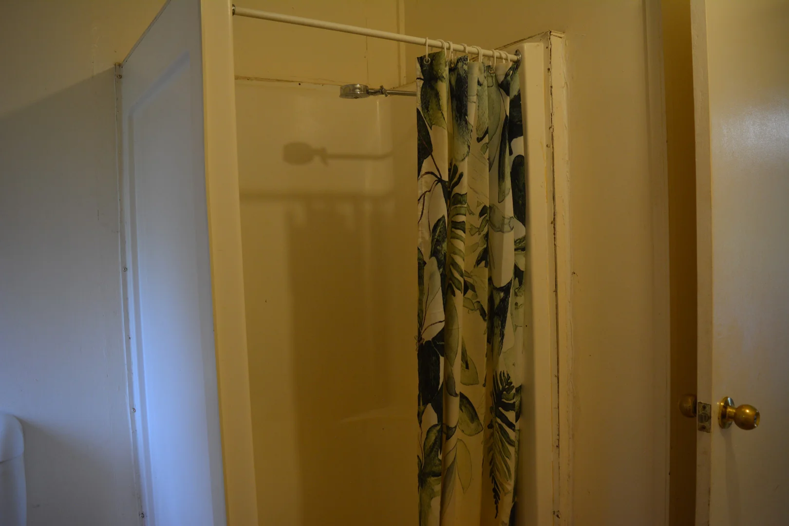 Additional image 11 of 29-31 Darwin Street, Jericho QLD 4728