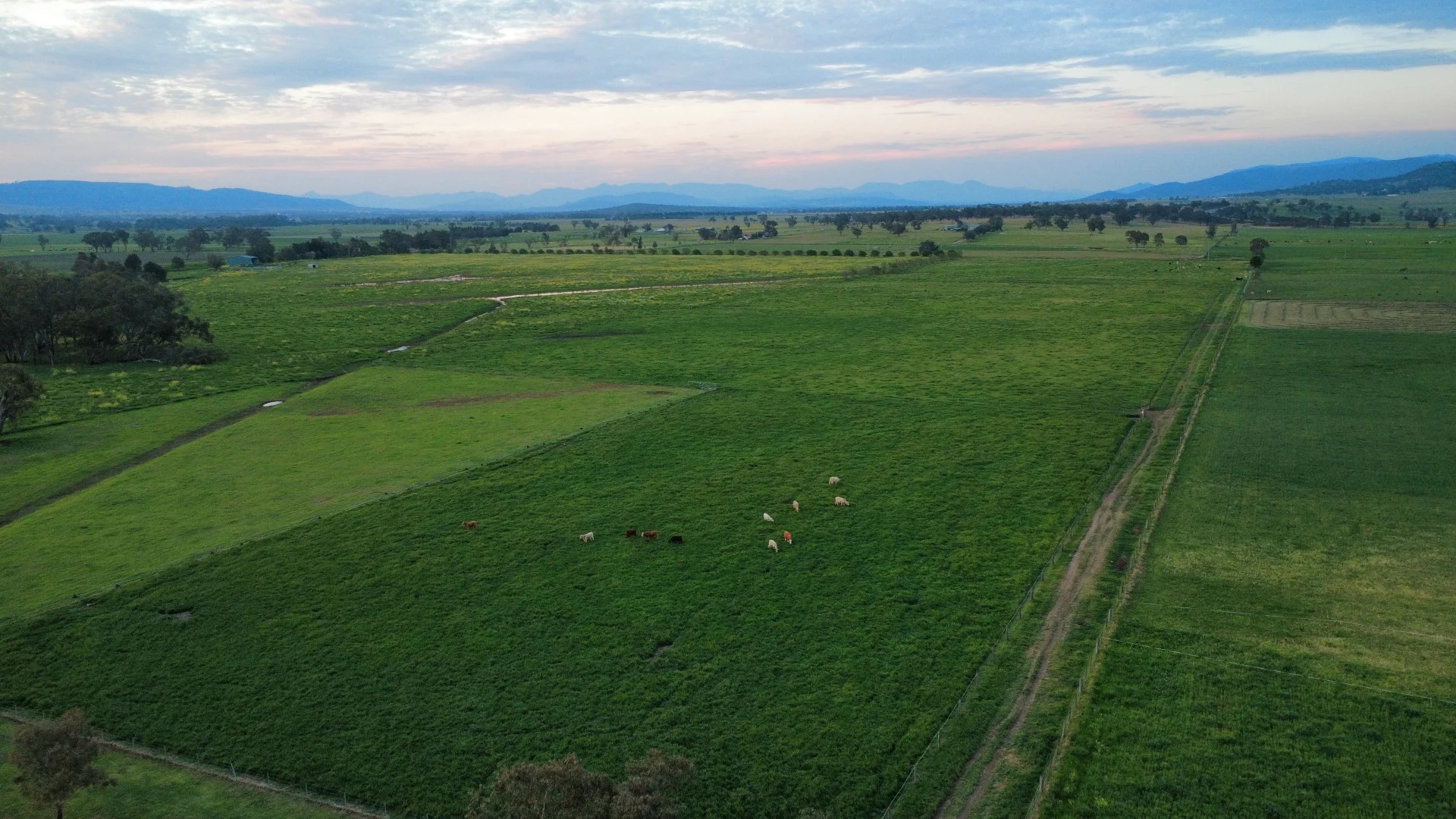 Additional image 33 of "Runnymeade" 80 Blairmore Lane, Aberdeen NSW 2336