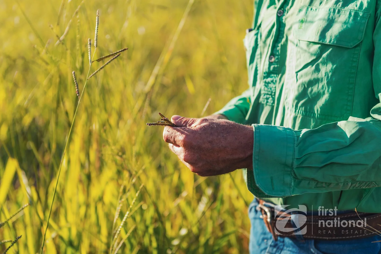 Additional image 7 of 149 Smiths Crossing Road, Bucca QLD 4670