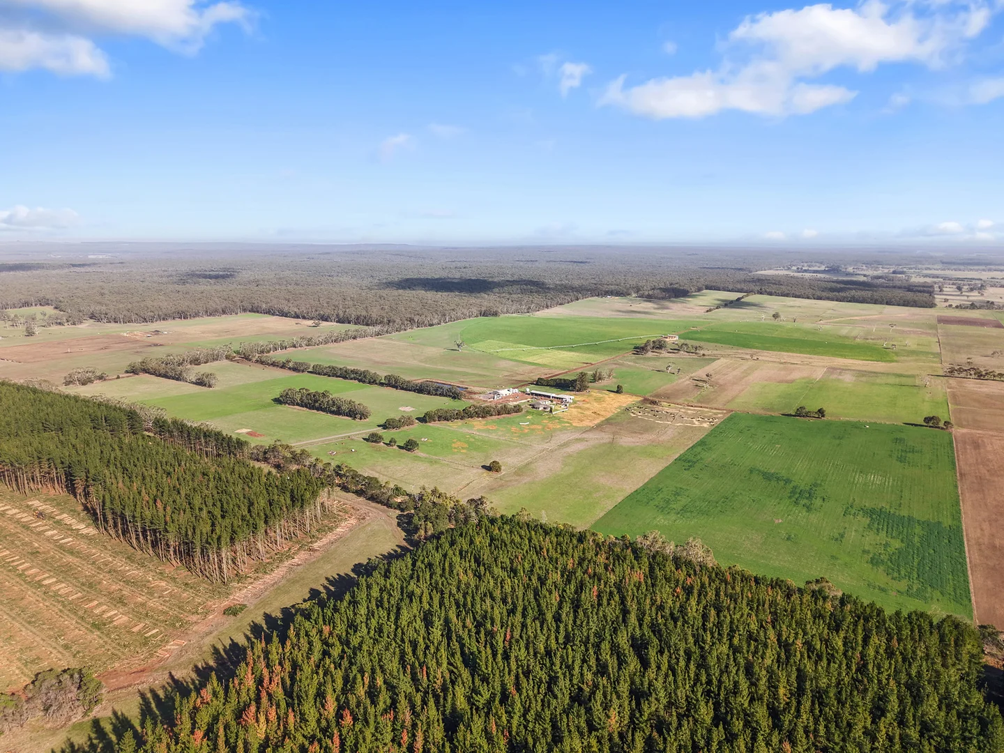 Additional image 30 of 140 Savins Road, Condah VIC 3303