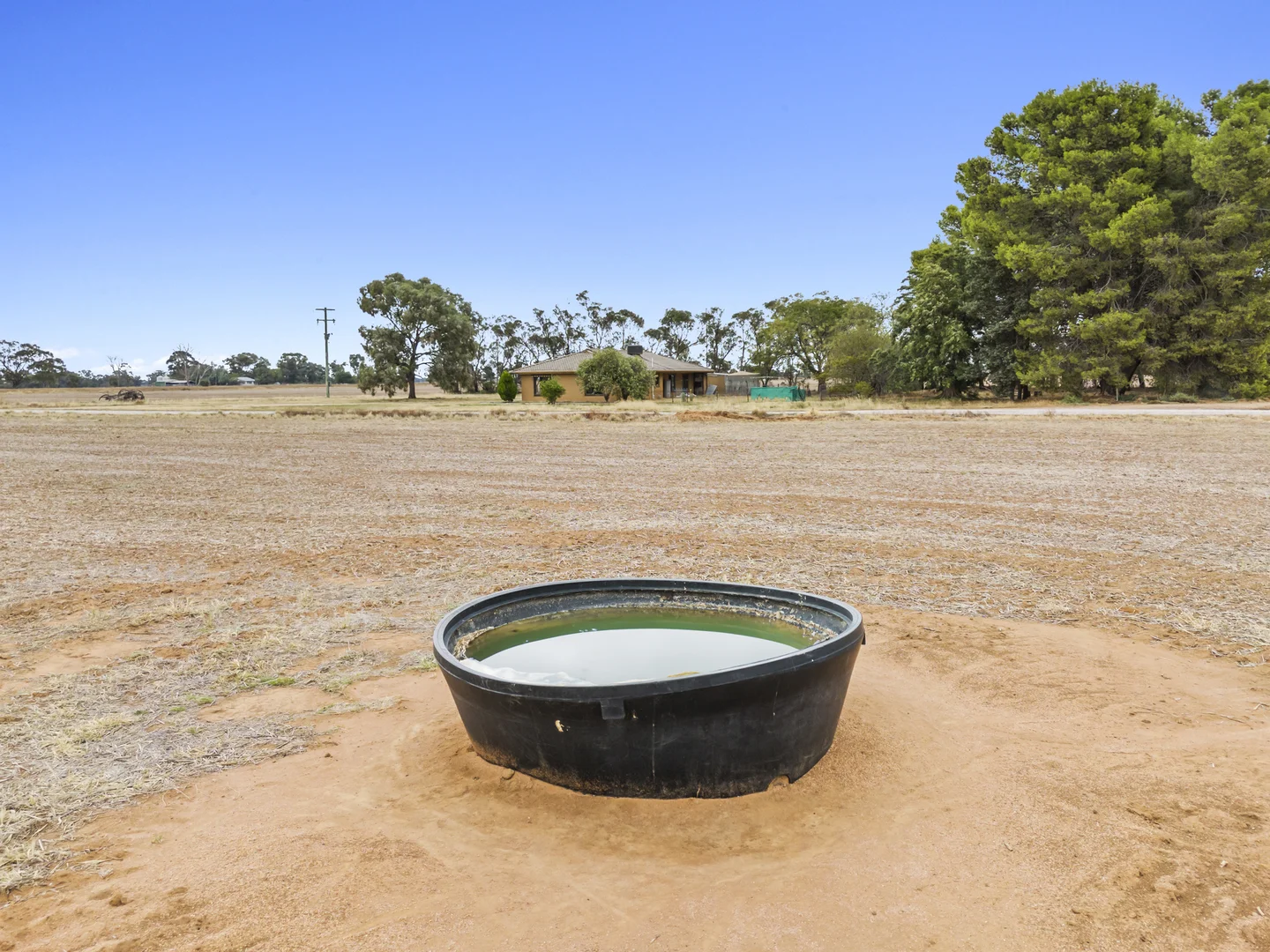 Additional image 7 of 198 Barnes Road, Finley NSW 2713
