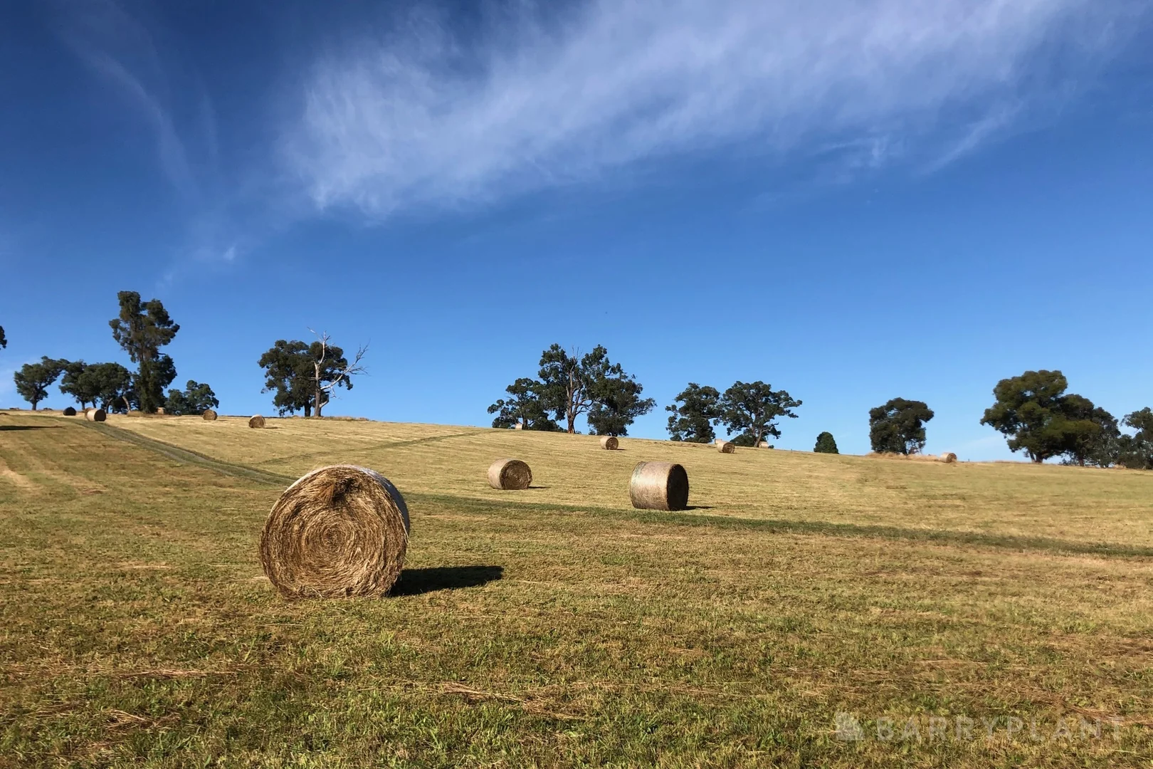 Additional image 10 of 450 Sheepstation Creek Road, Yellingbo VIC 3139