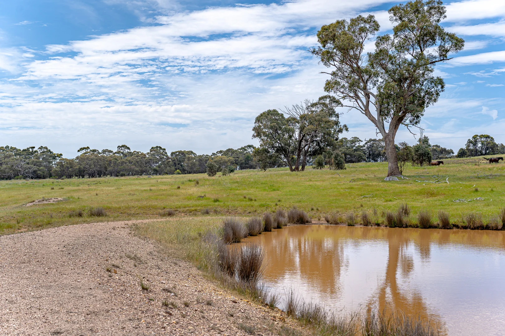 Additional image 5 of 5 Tuscan Court, Heathcote VIC 3523