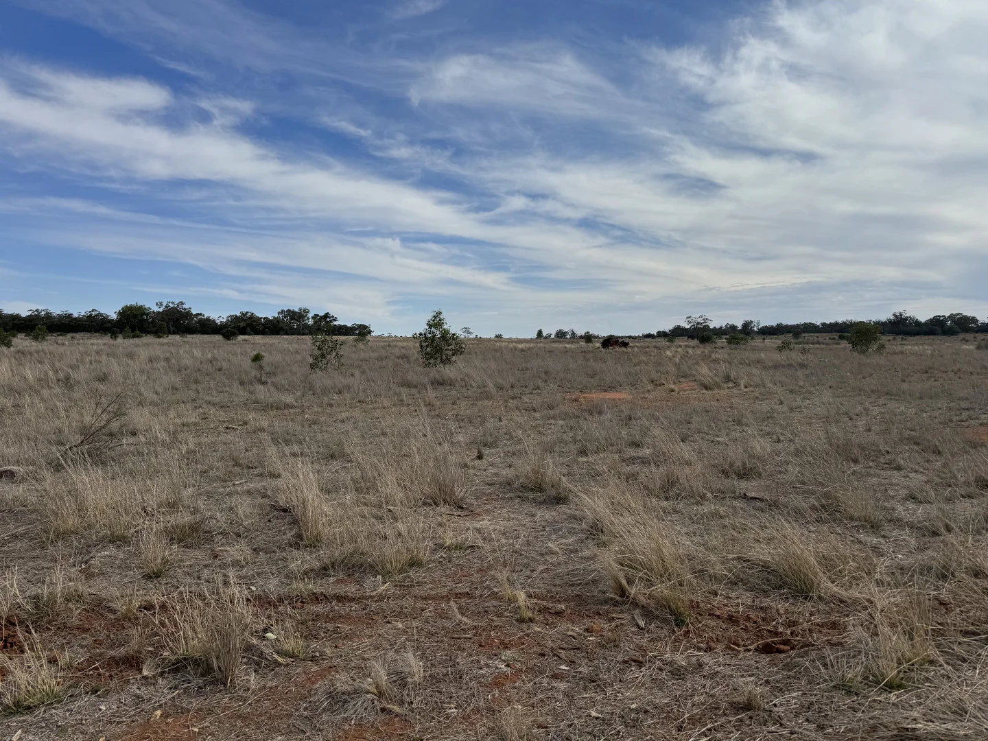 Additional image 25 of 2823 Hermidale Nymagee Road, Hermidale NSW 2831