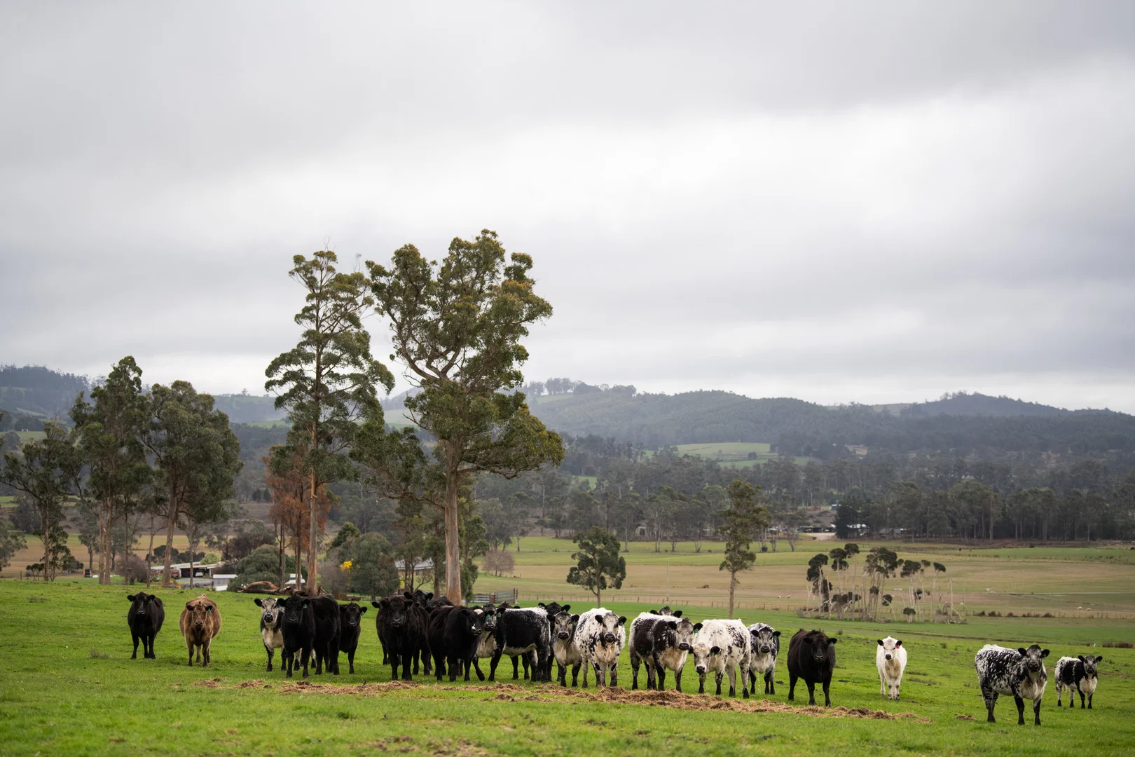 Additional image 31 of 29 Glengarry Road, Glengarry TAS 7275