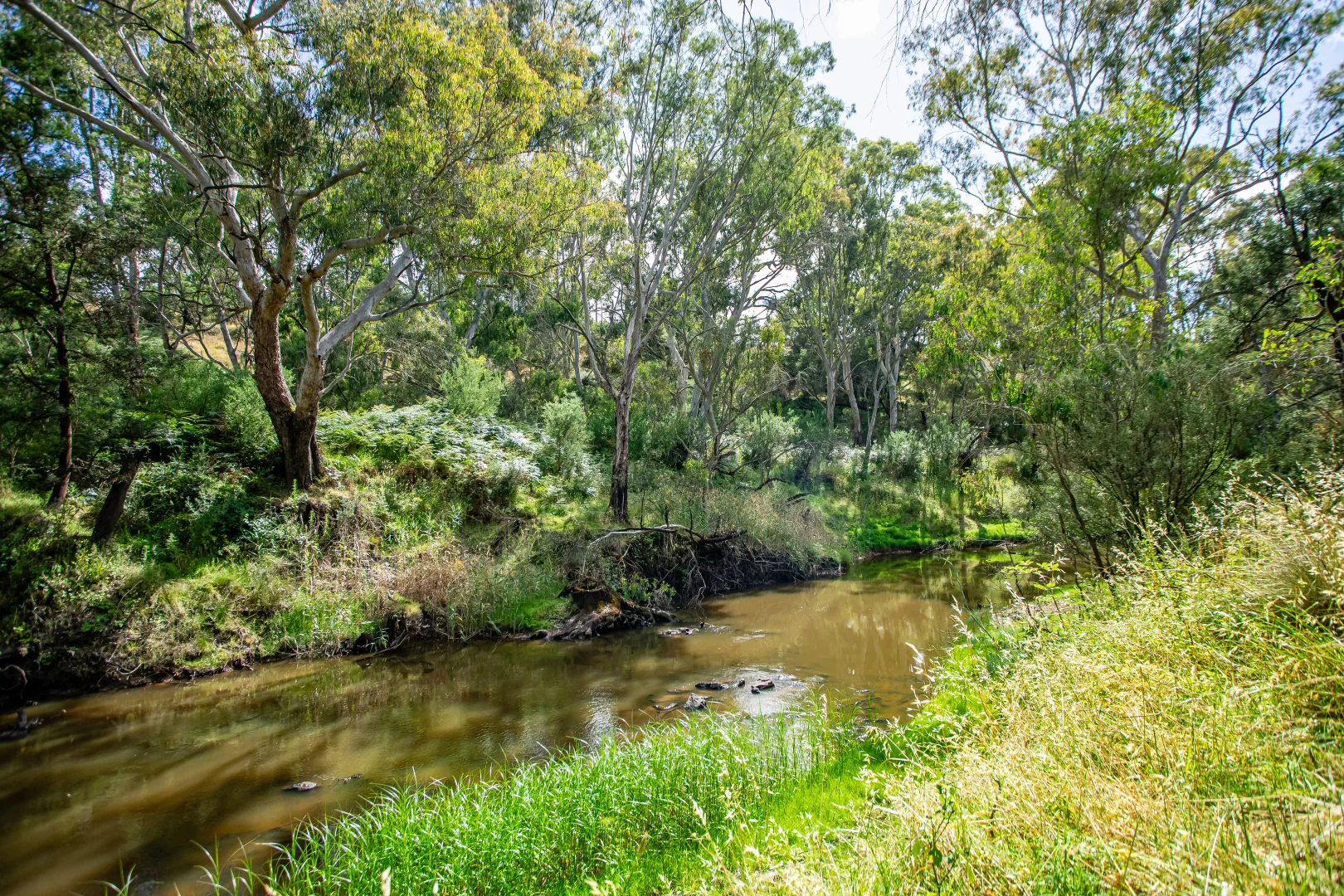 Additional image 8 of 93 The Bluff Road, Casterton VIC 3311