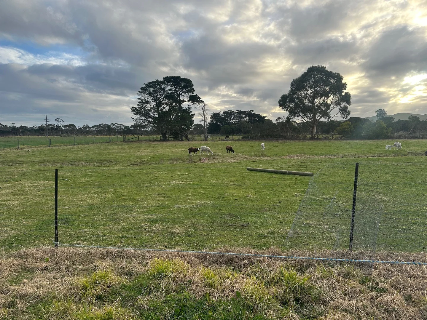 Additional image 4 of 60 Port Welshpool Road, Welshpool VIC 3966